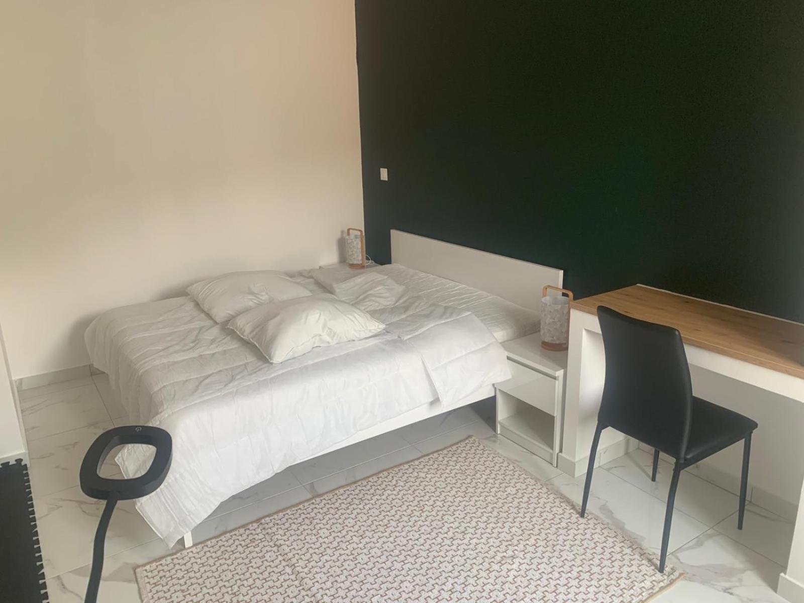 Chez Emilie Et John Apartment แซงต์-เอเตียน ภายนอก รูปภาพ